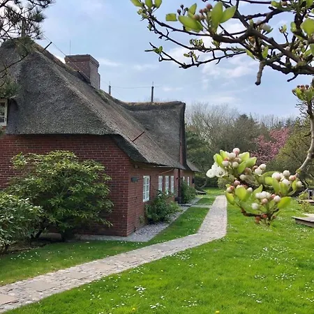 Friesenhof Südern Rasmus * Westerland