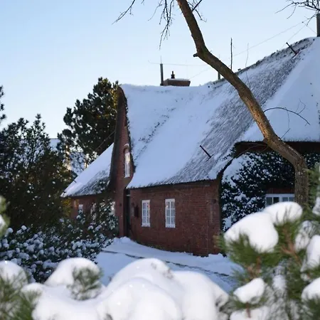 Apartment Friesenhof Südern Rasmus Westerland